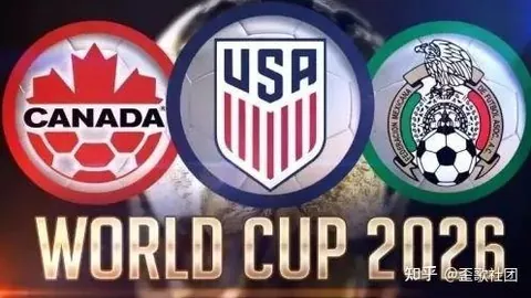 郑钦文新团队盛大登场，新春首展备受瞩目