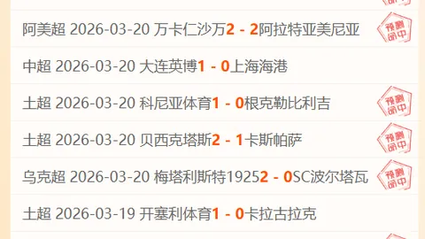 【揭秘】周六002澳超焦点战：悉尼FC迎战布里斯班预测解读