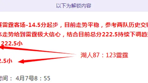 澳網：施安迪动作引争议，体育精神受质疑，对手Ace球反击立显反击力
