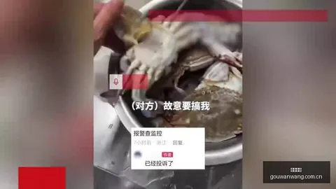 2026领航者手册：为民造福的政绩之路详解
